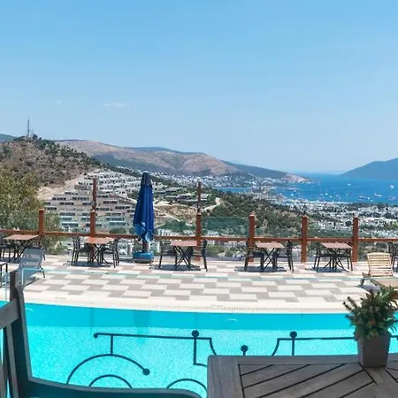 Panoramic Tesisi
